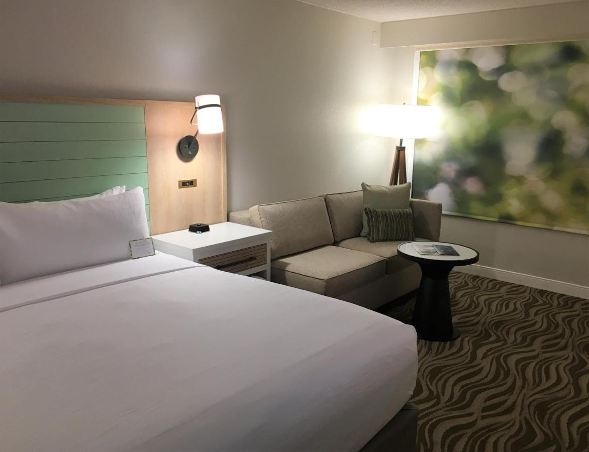 King Room,968807578:JPEG